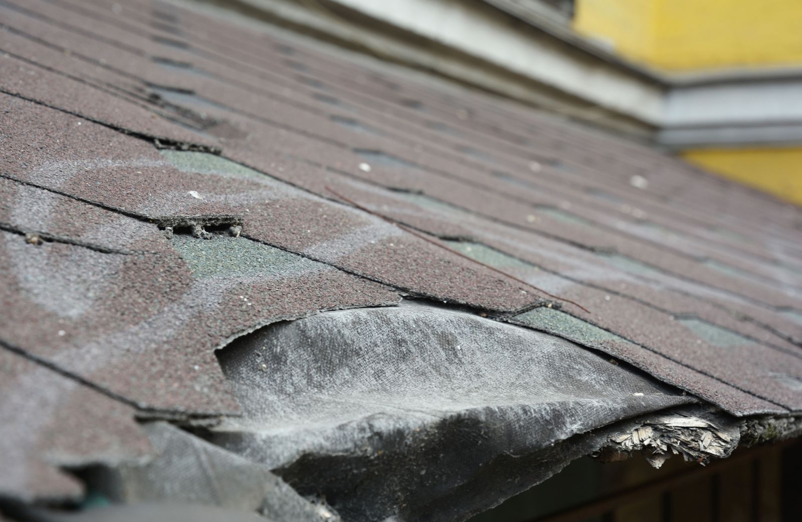 West Creek Roofing Images