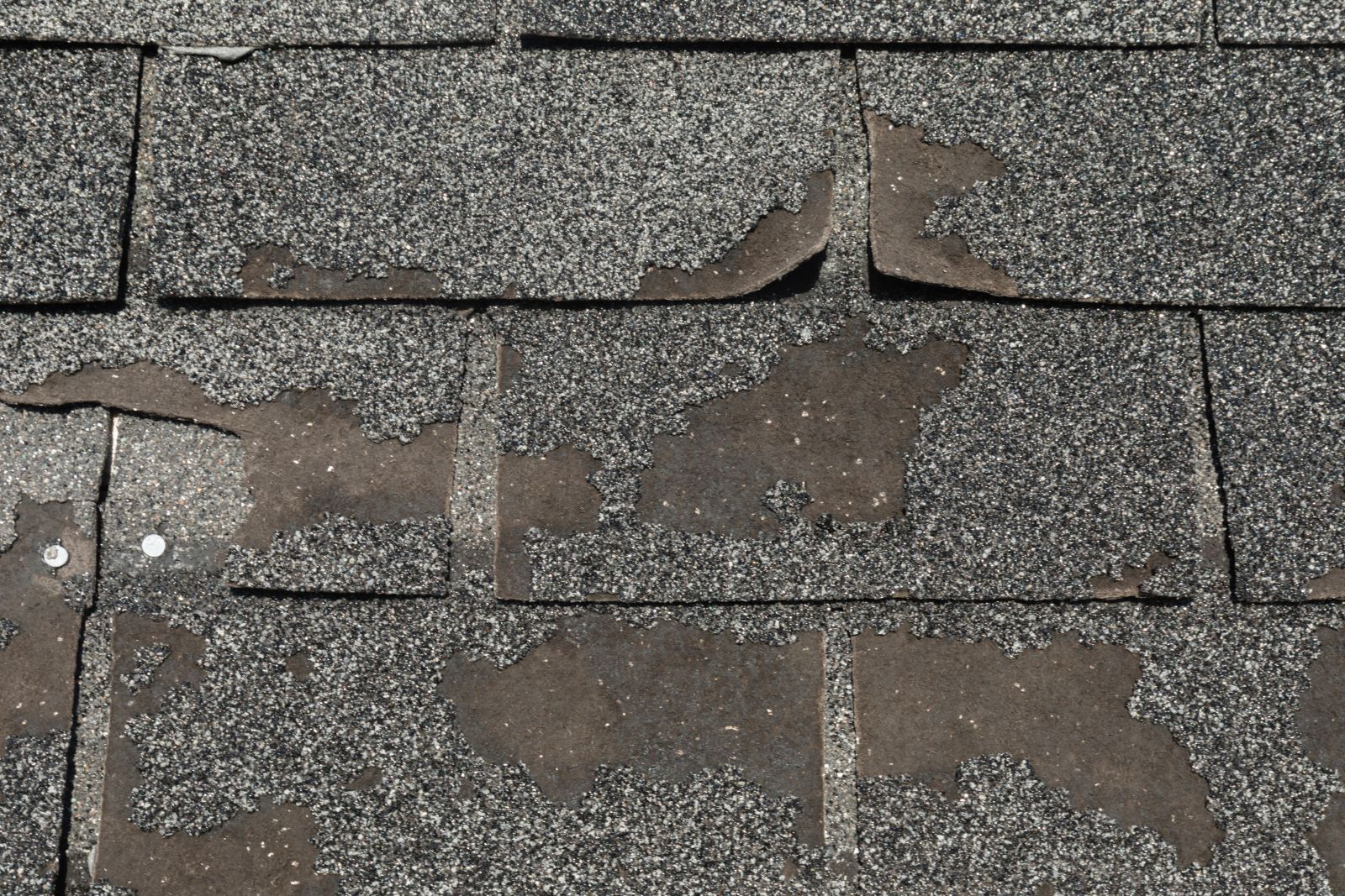 West Creek Roofing Images